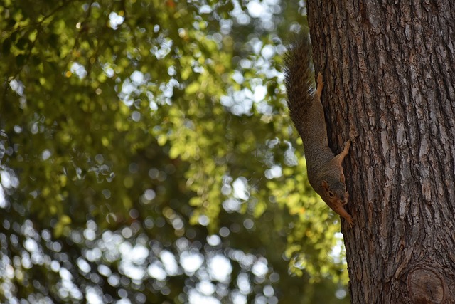 从容和自如 从容和自如