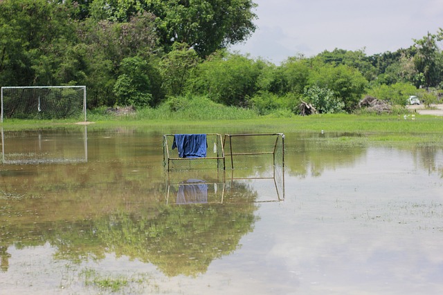 够快速调整 够快速调整