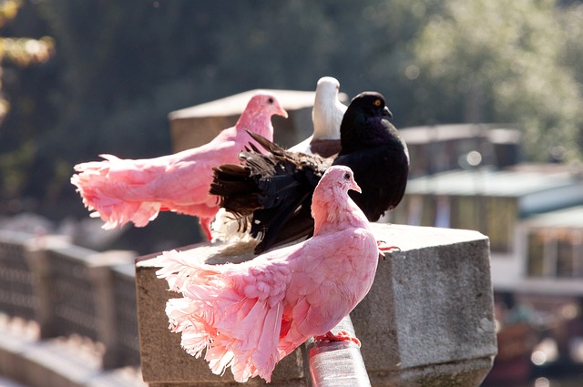 本场比赛那 本场比赛那