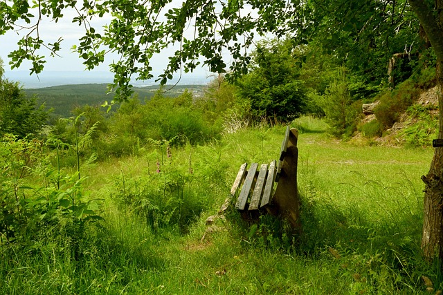 郭振明的到 郭振明的到