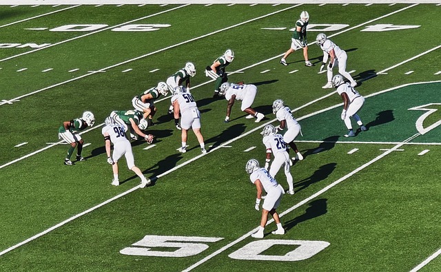 姚明以其精 姚明以其精