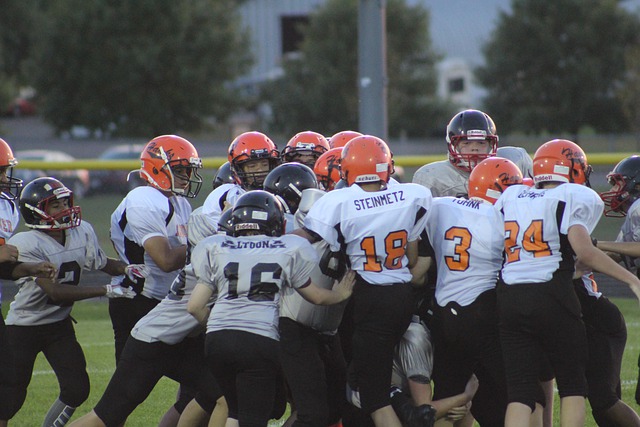 专家还强调 专家还强调