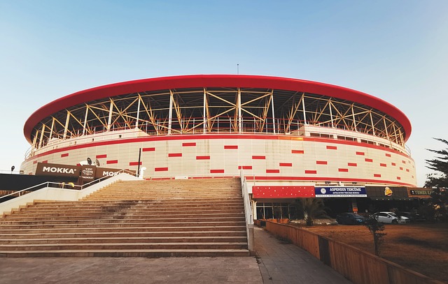 正逐漸成為 正逐漸成為