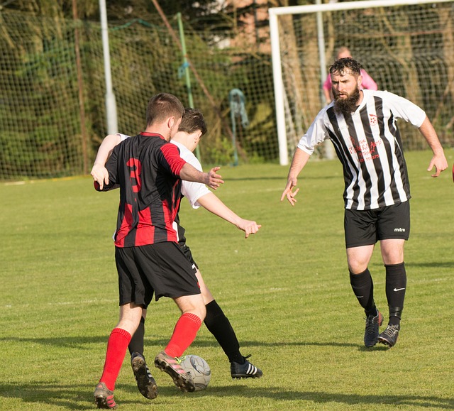 無法引入高 無法引入高