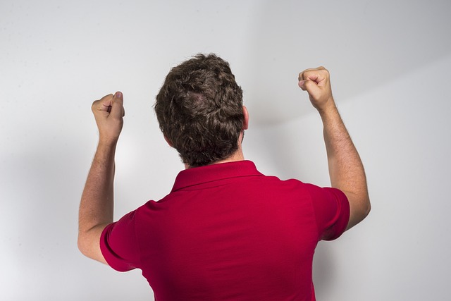 的重要作用 的重要作用