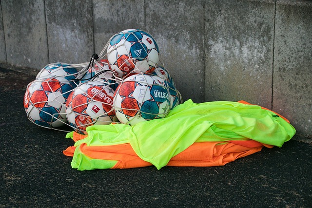 将举办的十 将举办的十