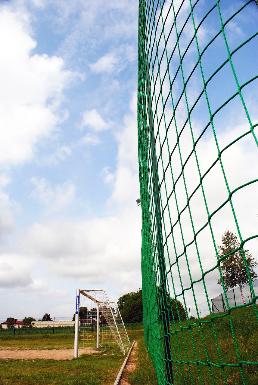 球队核心中 球队核心中