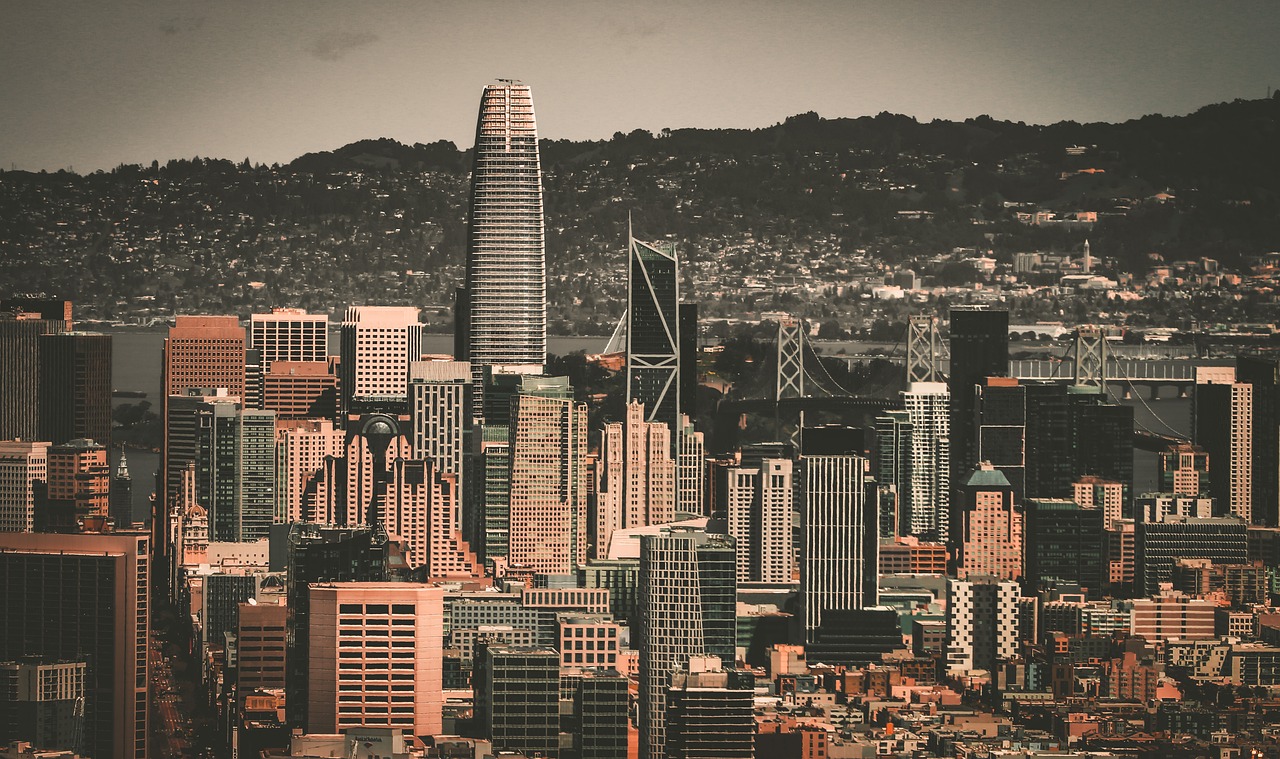 冠实力的阵 冠实力的阵