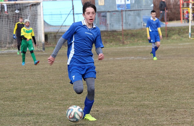 他们通过 他们通过